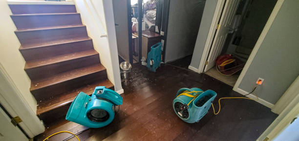 Best Emergency water damage restoration  in Virginia Beach, VA