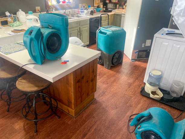 Best Water damage restoration experts  in Virginia Beach, VA