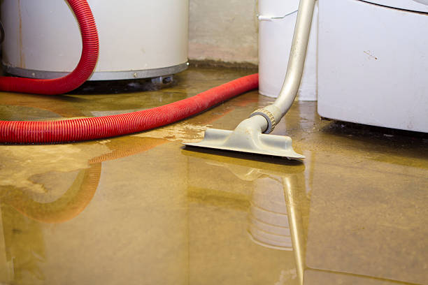 Best Residential water damage restoration  in Virginia Beach, VA