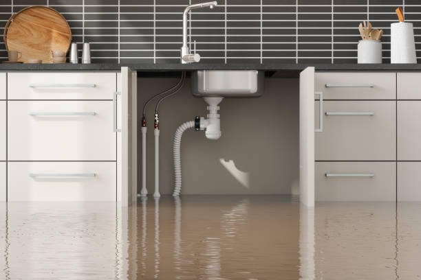 Best Local water damage restoration  in Virginia Beach, VA