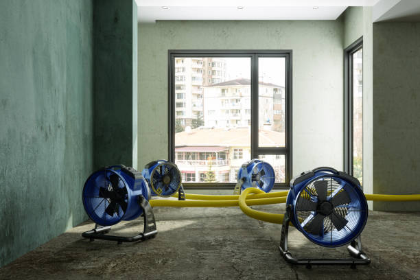 Best Water damage contractors near me  in Virginia Beach, VA